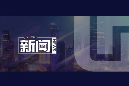 开高端网络及智算市场新局，BB贝博艾弗森官网数码并购智邦大陆结硕果